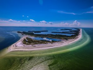 Read more about the article We went to heaven yesterday. Anclote Island.