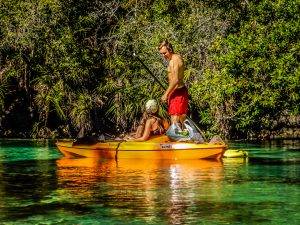 Read more about the article The Weeki Wachee River